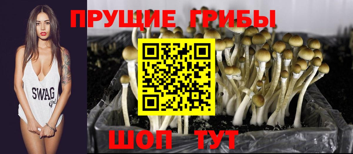 Псилоцибиновые грибы MAGIC MUSHROOMS Гусев